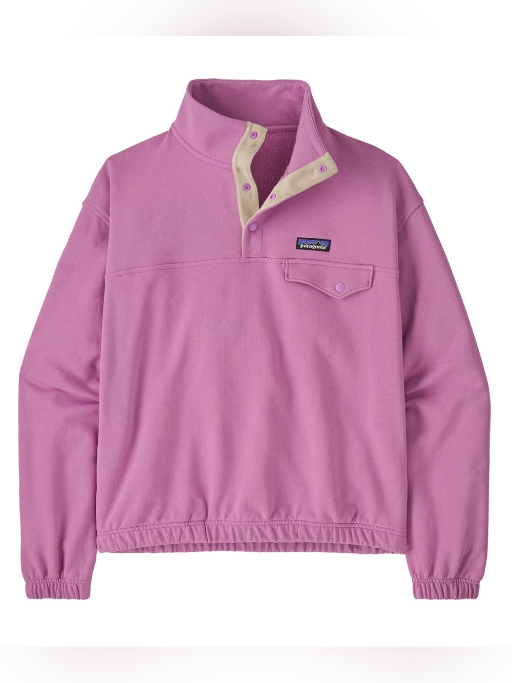 Patagonia Daily Snap-T Pullover Sweatshirt in Brisk Purple Size Large